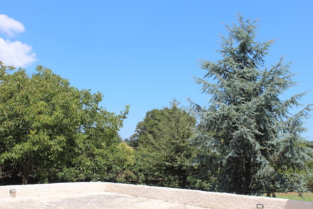 מונופולי Villa Apollonia B&B מראה חיצוני תמונה