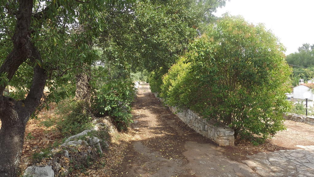 מונופולי Villa Apollonia B&B מראה חיצוני תמונה